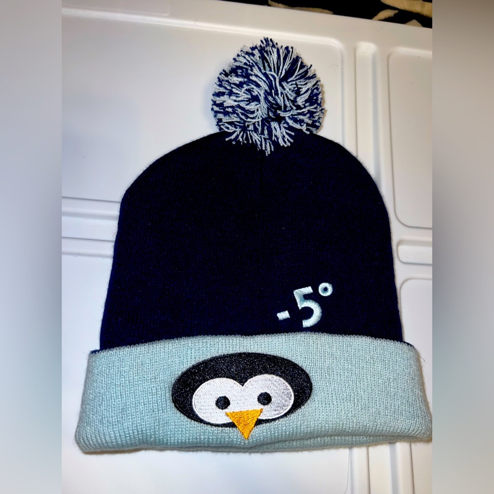 Minus 5 Winter Hat